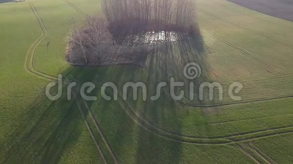 春季麦田和带池塘的小树林空中视频的预览图