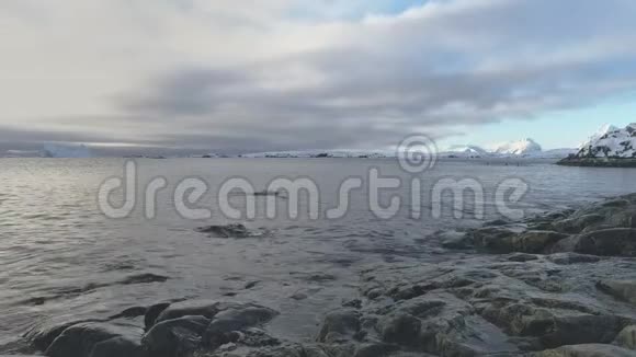 登图企鹅跳跃到南极海岸视频的预览图