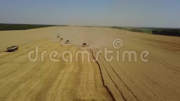 农业录像显示收割机正在收集收割的小麦谷物视频的预览图