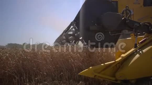 小麦收割在农机收割机和拖拉机田间作业的背景下慢动作50分视频的预览图