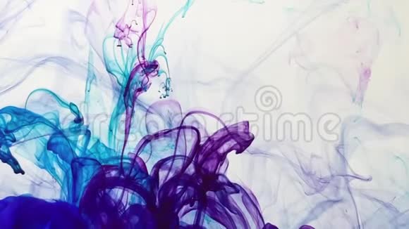 蓝色和紫色水彩墨水在白色背景上的惊人混合视频的预览图