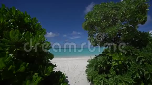 马尔代夫树木后面的蓝色泻湖美景视频的预览图