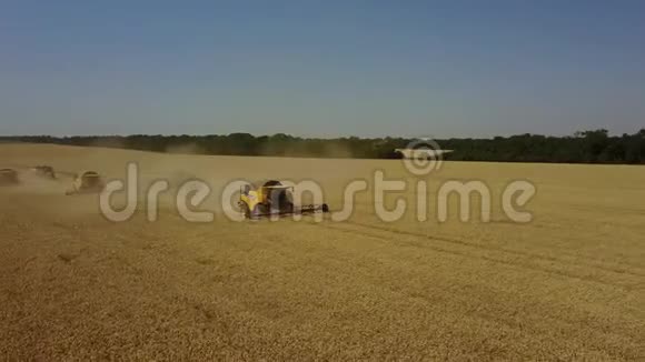 联合收割机收获成熟小麦农业4K视频的预览图