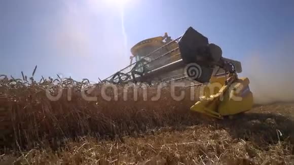 低角度收割机移动收麦粒夏季慢动作视频的预览图