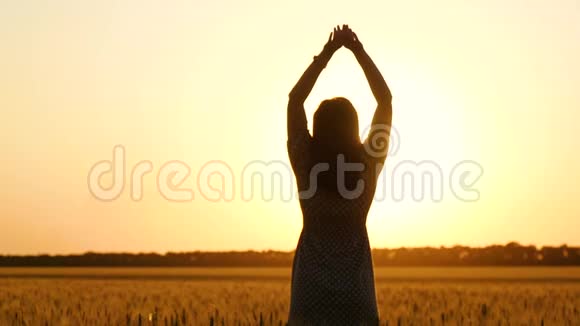 一个穿着漂亮衣服的女孩正站在日落时分的金色麦田里举起双手视频的预览图