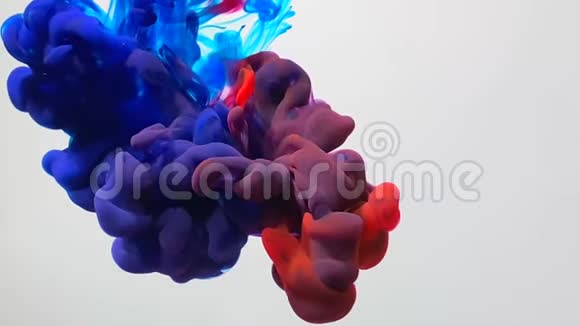 红色和蓝色的水彩颜料在白色背景的水中混合紫色视频的预览图