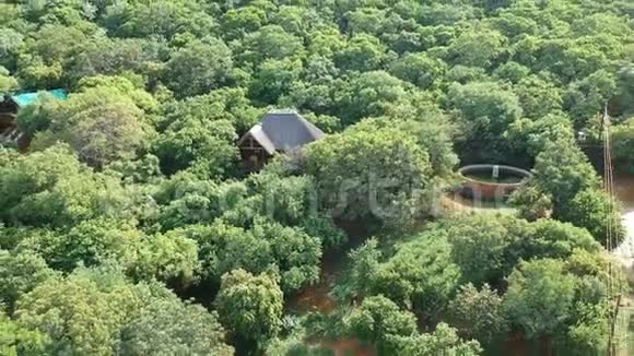 南非的度假屋被茂密的森林包围着视频的预览图