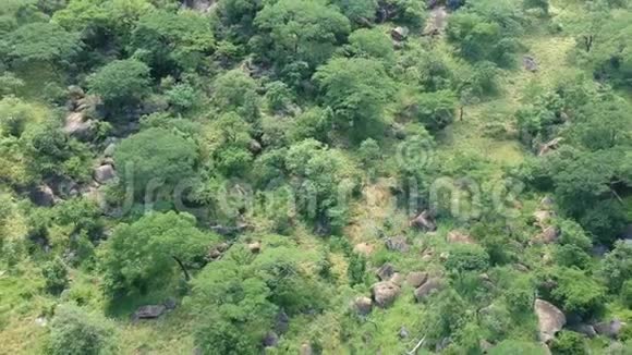 南非森林景观岩石高角度鸟瞰视频的预览图