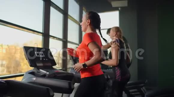 一位年轻漂亮的女士和三个人在健身房的跑步机上进行有氧运动室内视频的预览图