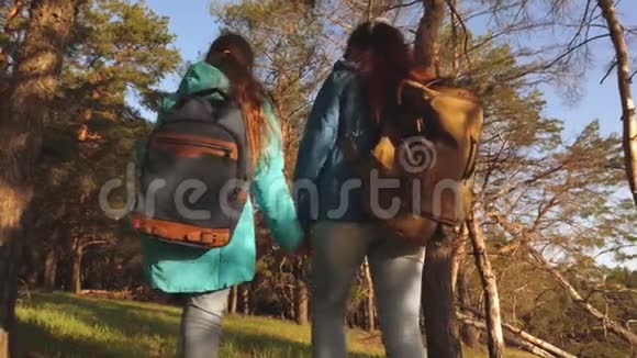 在松林里徒步旅行的女孩快乐的家庭旅行母亲和女儿带着背包穿过树林的旅行者视频的预览图