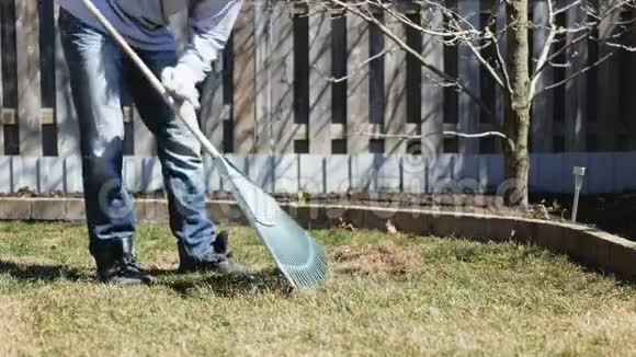 男人打扫绿色的草坪在后院用耙子扫落叶视频的预览图