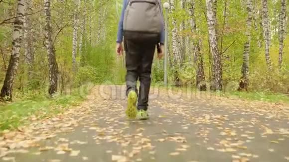 背着背包在森林里行走的男孩的后景视频的预览图