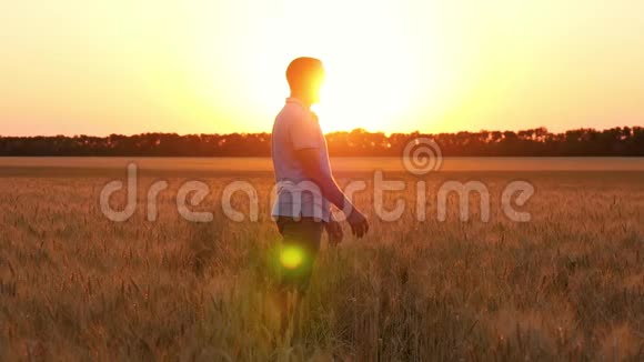 日落时一个快乐的孩子通过麦田跑向他的父亲父亲把儿子抱在怀里拥抱他视频的预览图