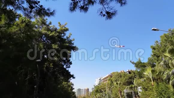 飞机和鸟在城市的建筑物和树木上低飞5秒视频的预览图