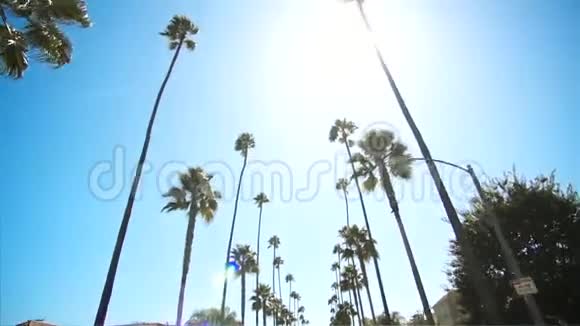 比弗利山街有棕榈树晴天洛杉矶视频的预览图