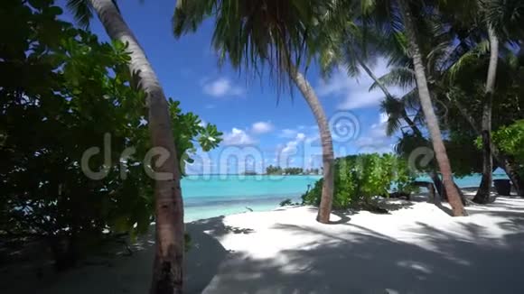 步行到印度洋在马尔代夫群岛度假天堂景观奇妙的灯光4K镜头视频的预览图