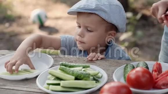 一个在野外野餐的孩子用手从盘子里拿出黄瓜吃视频的预览图