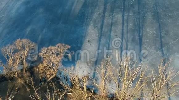 冬季湖岸和树影在早晨空中视频的预览图