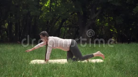 一位孕妇在公园里的地毯上做瑜伽站在一张姿势桌子上膝盖上视频的预览图