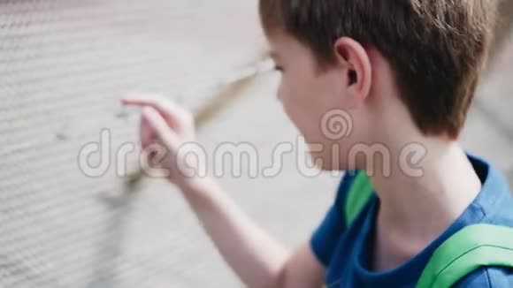 男孩站在栅栏边用带刺的铁丝用手摸着铁丝快关门视频的预览图