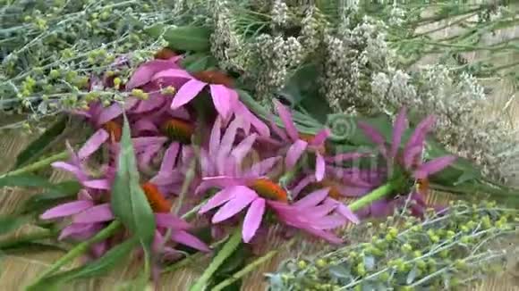 旋转各种新鲜的草药紫锥菊艾草雅罗和鼠尾草视频的预览图