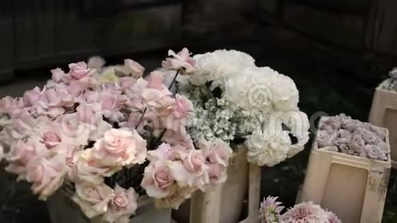 美丽的稳定的白色玫瑰花镜头自然视频的预览图