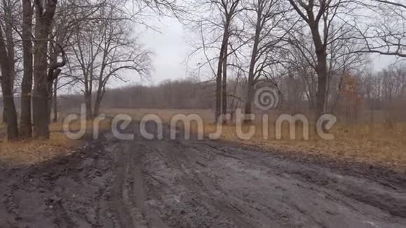 深秋森林里糟糕的泥泞道路视频的预览图