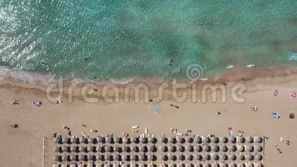 空中无人机视频法拉萨纳海滩水晶水金色的沙子无尽的沙绿色海滩法拉萨纳在克里特岛视频的预览图