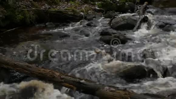 河流被倒下的树木横渡视频的预览图