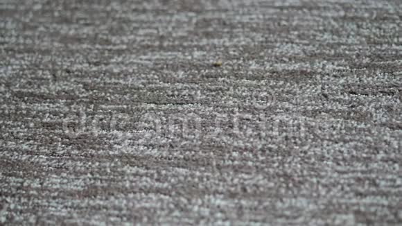 合成地毯上的层压板在家庭内部纺织品的特写纹理4k视频与您的文本位置视频的预览图