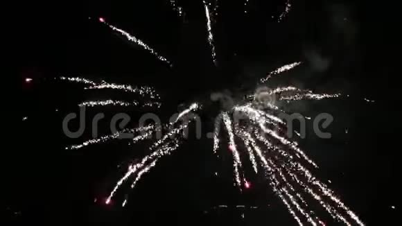 新年除夕夜烟火璀璨视频的预览图