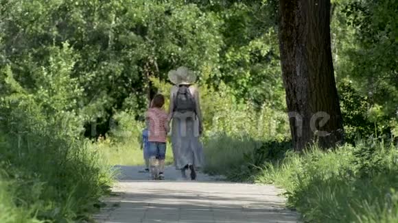 妈妈和两个儿子在一个绿色公园里沿着小巷散步夏日阳光明媚背面视频的预览图