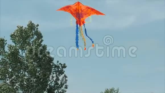 风筝在风中飞舞慢动作视频的预览图