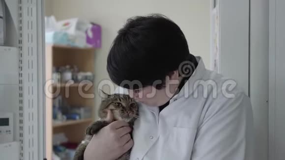 成熟的女兽医穿着白色长袍抱着一只可爱的紧张的猫试图让动物平静下来用手摸着他的鼻子视频的预览图