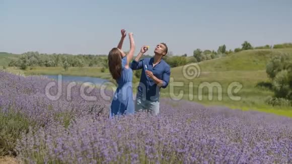 带着肥皂泡的情侣在薰衣草的田野里视频的预览图