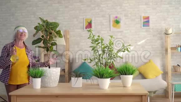 积极的老年妇女在客厅里种植家庭植物视频的预览图