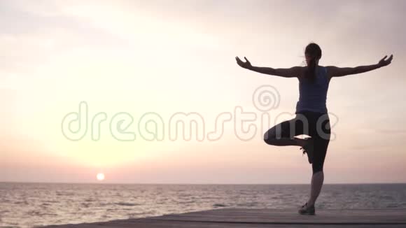 日落时分在海边做瑜伽的女人她站在树上摆姿势视频的预览图