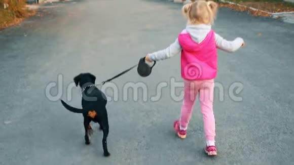 可爱可爱的金发小女孩喜欢在秋天和你的狗狗朋友在柏油路上散步快乐的孩子视频的预览图