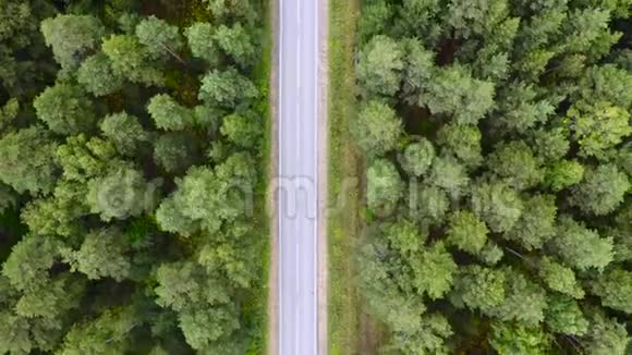 空中无人驾驶飞机飞越绿色森林和笔直的道路视频的预览图