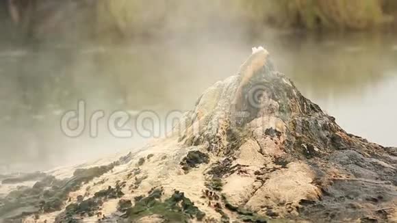 非洲丛林中间歇泉山谷温泉之巅视频的预览图