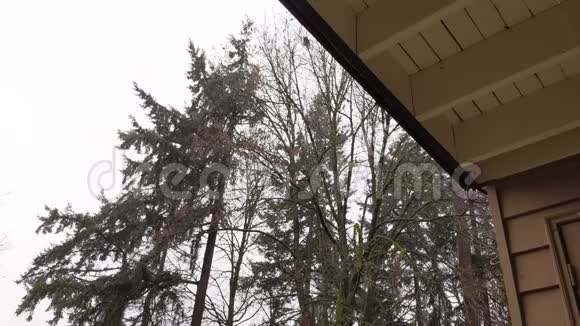 雨水从屋顶的边缘倾泻下来背景是高大的常青树视频的预览图