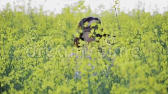 一位美丽的棕色头发的女人留着一头又短又黑的头发站在一片黄色的田野里夏天青春自由的概念视频的预览图