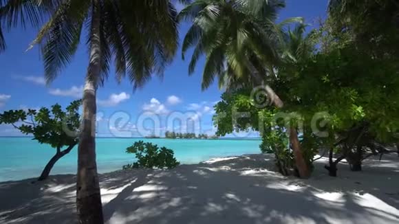 海洋中的热带岛屿在马尔代夫摄像机从海滩向蓝色泻湖移动视频的预览图