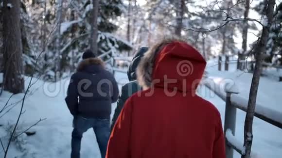 日落时分一群朋友慢慢地沿着一条冬林小径散步视频的预览图