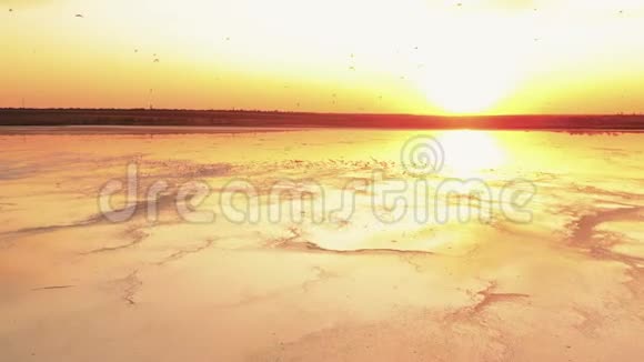 日落时分在一个半干旱的咸水湖上一群海鸥视频的预览图