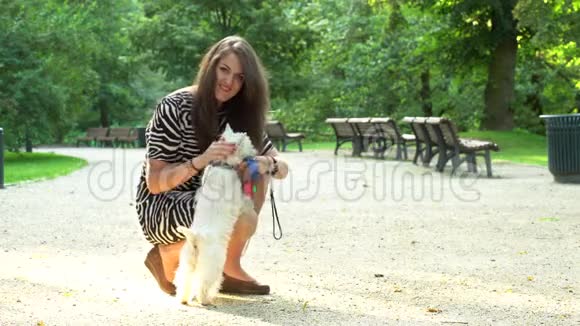 可爱的宠物主人花时间和小狗在一起静态拍摄视频的预览图