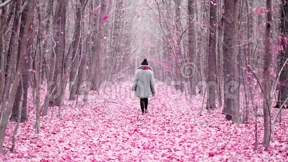 年轻女子独自走在紫色森林的小径上道路上粉红色的叶子或花瓣后景旅行自由视频的预览图