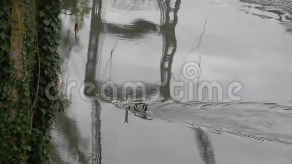 河中金属桥的碰撞视频的预览图
