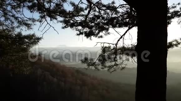 松树干在基斯洛沃茨克公园等树木的背景下田野在阴霾中背景下的Elbrus全景视频的预览图