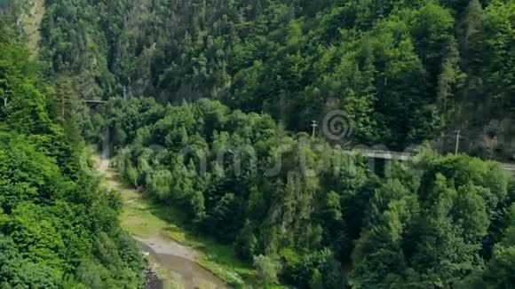 在森林覆盖的高山峡谷中流动的河流的鸟瞰图视频的预览图
